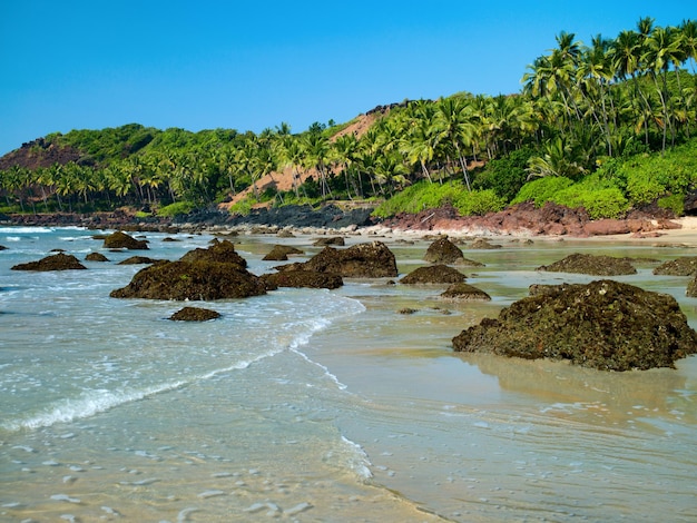 Oceaanstrand met eiland en palmbomen