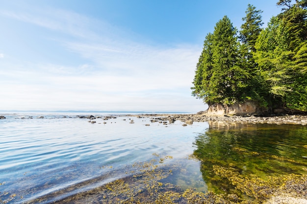 Ocean beach in  Vancouver island, British Columbia, Canada