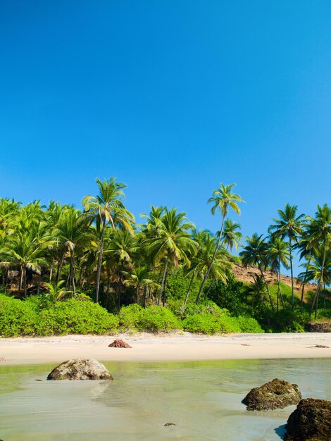 Ocean beach with island and palm trees