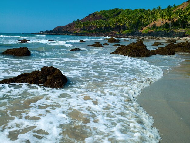 Ocean beach with island and palm trees