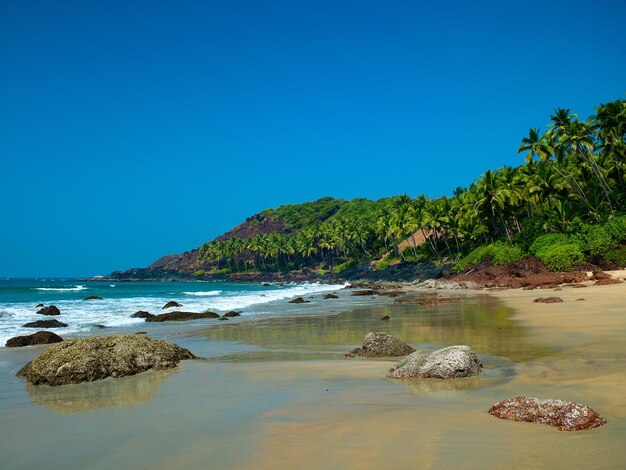 Ocean beach with island and palm trees