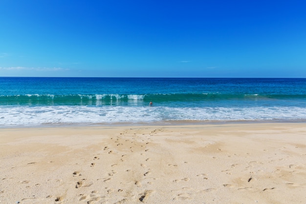 Foto spiaggia dell'oceano