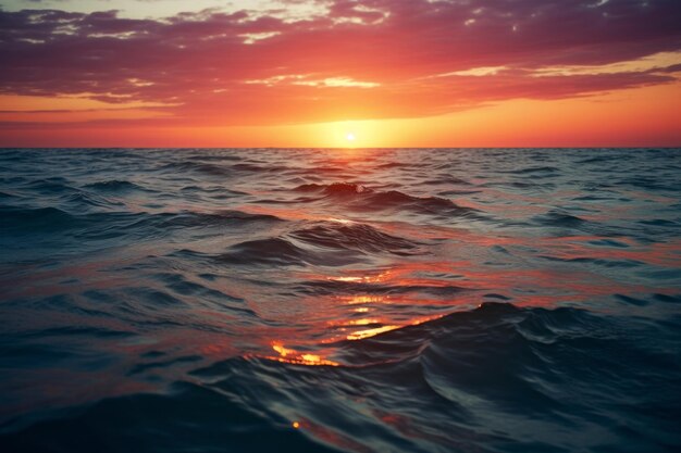 Ocean Sunset Reverie Sea Animal photography