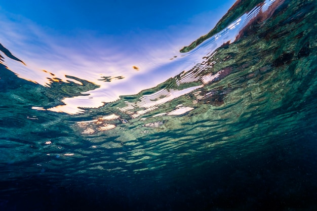 Ocean underwater background