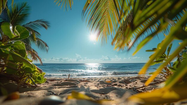 Ocean View Through Palm Trees