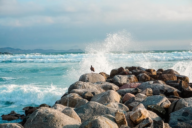 Ocean views from a stone breakwater beautiful beach of San Bartolo