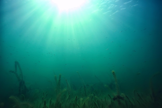 ocean water blue background underwater rays sun / abstract blue background nature water