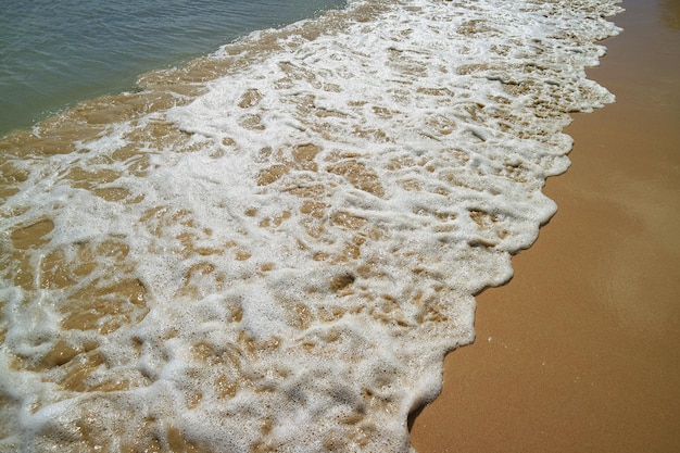 Океанские волны плещутся о песчаный пляж