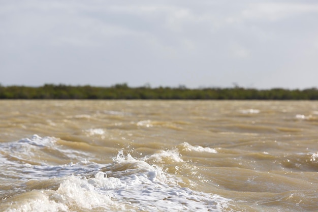 Ocean waves with mangroves in La Guajira Colombia