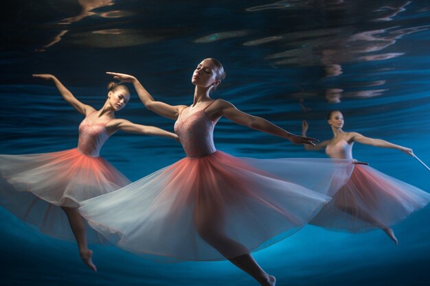 Oceanic Ballet