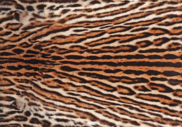 Ocelot fur coat texture