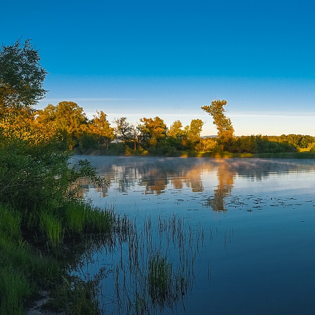 Ochtend aan de rivierkust, bomen weerspiegeld in het kristalheldere water, op de rivier boven de watermist.