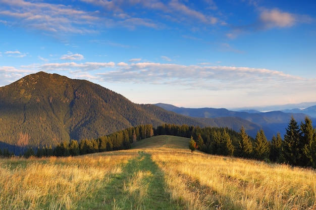 Ochtend berglandschap met bergweg