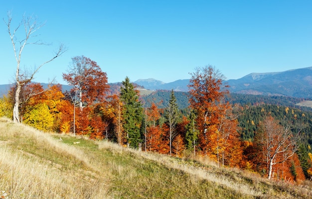 Ochtend herfst Karpaten landschap
