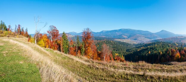 Ochtend herfst karpaten landschap