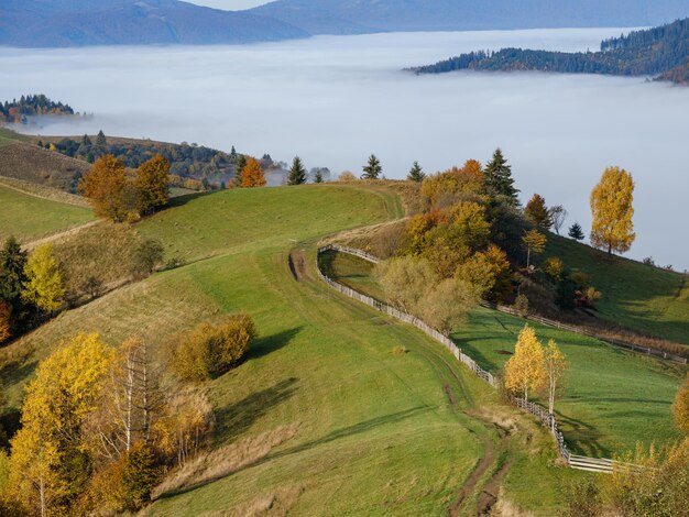 Ochtend mistige wolken in de herfst berglandschap Oekraïne Karpaten Transcarpathia Vreedzame pittoreske reizen seizoensgebonden natuur en platteland schoonheid concept scene