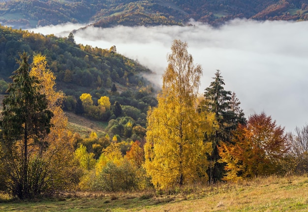 Ochtend mistige wolken in de herfst berglandschap Oekraïne Karpaten Transcarpathia