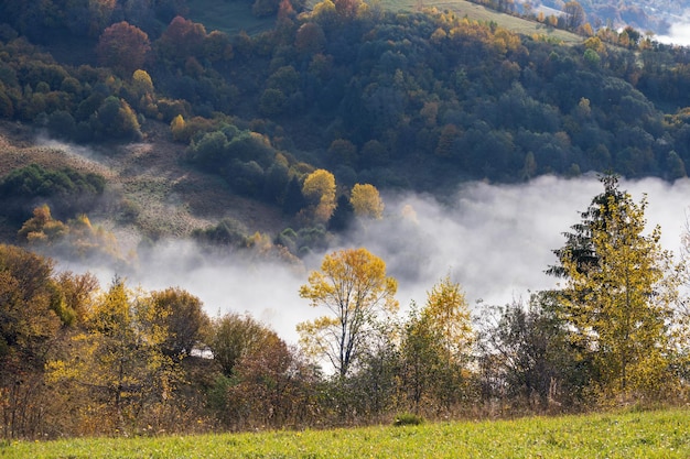 Ochtend mistige wolken in de herfst berglandschap Oekraïne Karpaten Transcarpathia