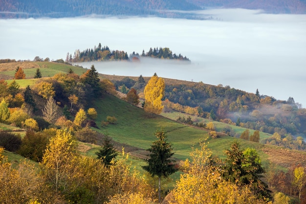 Ochtend mistige wolken in de herfst berglandschap Oekraïne Karpaten Transcarpathia