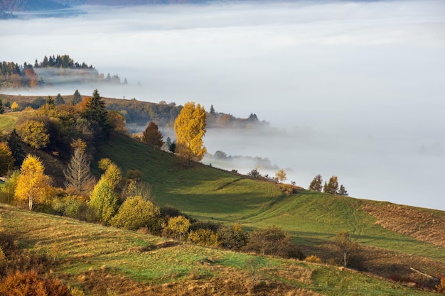 Ochtend mistige wolken in de herfst berglandschap Oekraïne Karpaten Transcarpathia