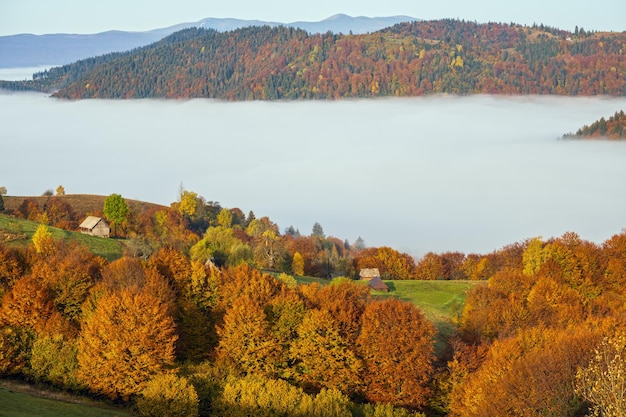 Ochtend mistige wolken in de herfst berglandschap Oekraïne Karpaten Transcarpathia