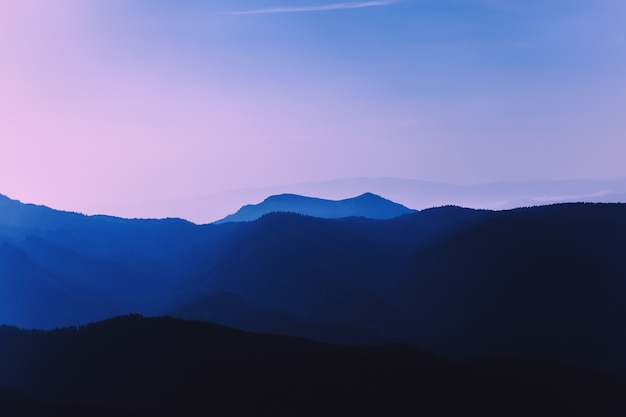 Foto ochtend paarse waas in de bergen. naaldbos. prachtig landschap