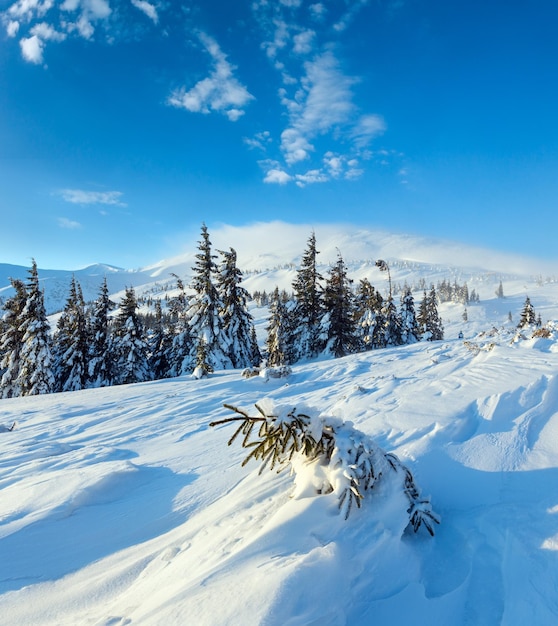 Ochtend winter berglandschap Karpaten