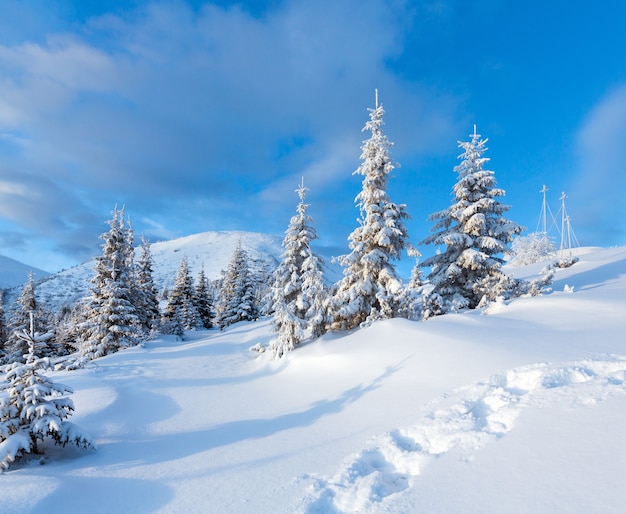 Ochtend winter berglandschap met sparren en voetstappen op de helling.