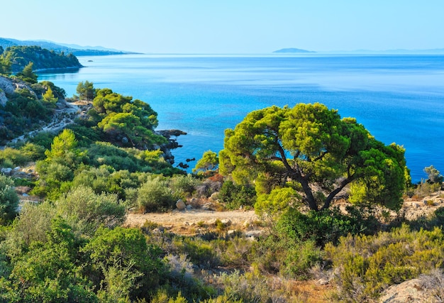 Ochtend zomer Egeïsche Zee kustlijn (Nikiti, Sithonia, Chalkidiki, Griekenland).