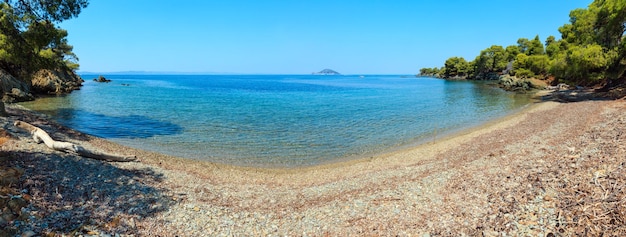 Ochtend zomer Egeïsche Zee rotsachtige kust landschap met pijnbomen aan de kust Uitzicht vanaf strand Sithonia in de buurt van Ag Kiriaki Halkidiki Griekenland