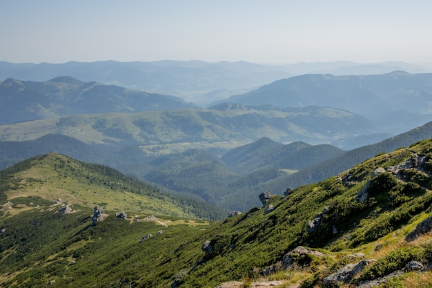 Ochtend zonnige dag is in berglandschap. Karpaten, Oekraïne, Europa. Schoonheid wereld