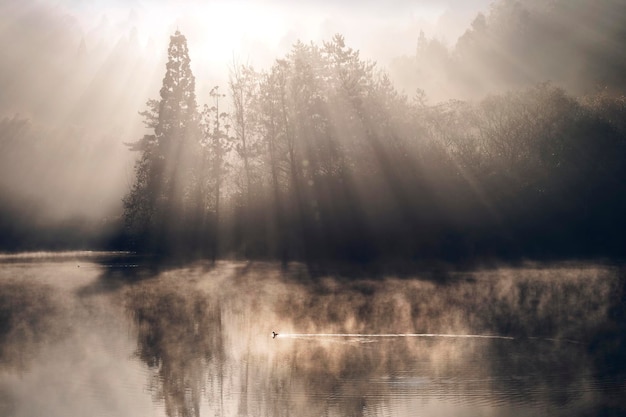 Ochtendbezinning van het Stille Meer