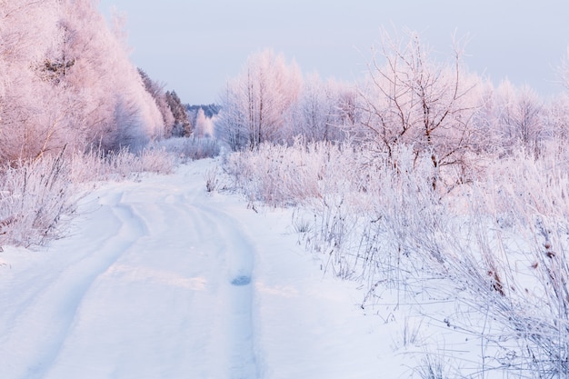 Ochtendlandschap met een weg in de sneeuw