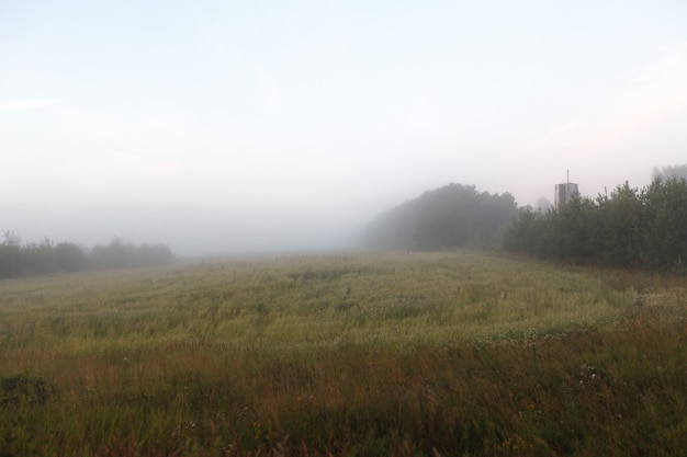 Ochtendmist op een nieuw geoogst veld