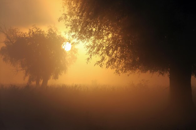 Ochtendmist op het platteland bij zonsopgang