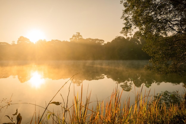 Ochtendmist trekt op bij zonsopgang bij een meerstaat op een koele ochtend in september