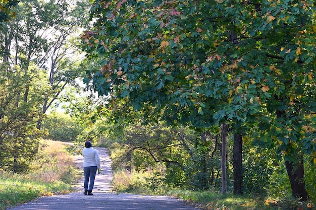 Ochtendwandeling in het stadspark