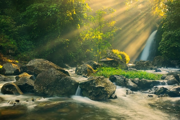 Ochtendzicht op de waterstroom in koele waterval en zonsopgang