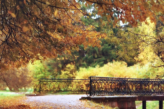 10월 풍경 / 공원의 가을, 노란색 10월 나무, 가을 풍경의 골목