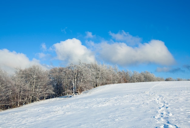 Bordo del bosco di faggi di montagna di ottobre e prima neve invernale