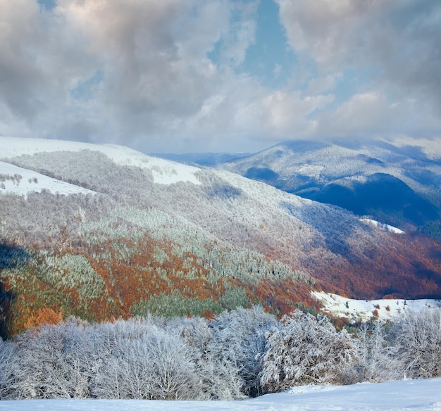 写真 遠い山腹に最初の冬の雪と昨年の秋の色とりどりの葉を持つ10月の山ブナの森の端