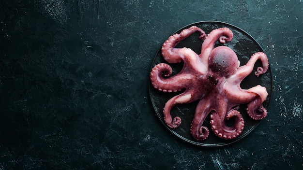 Octopus on a black background Seafood Free space for your text flat lay