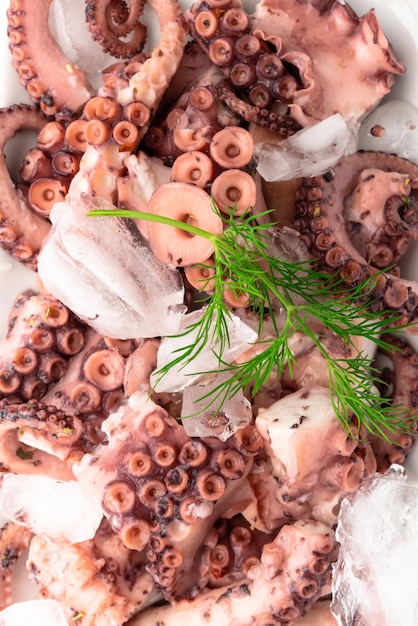 Octopus boiled on white tray with dill