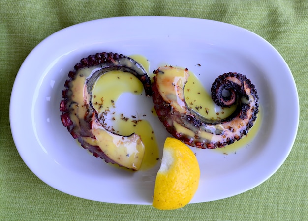 octopus food plate