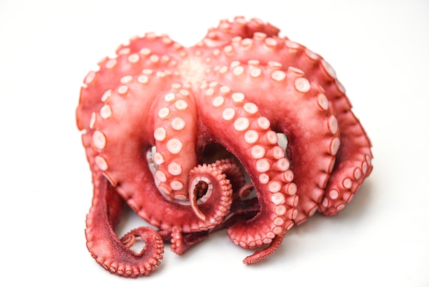 Octopus isolated on white background, Boiled whole octopus tentacles seafood squid cuttlefish