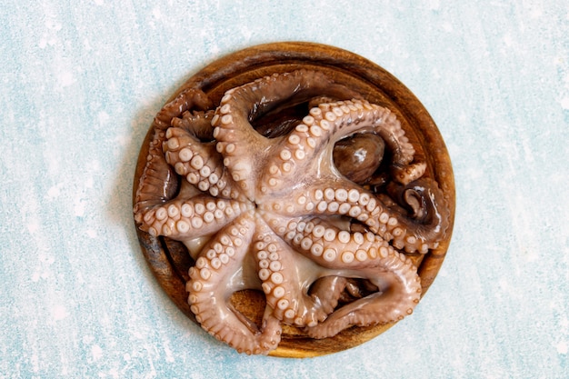 Foto octopus op de keukentafel