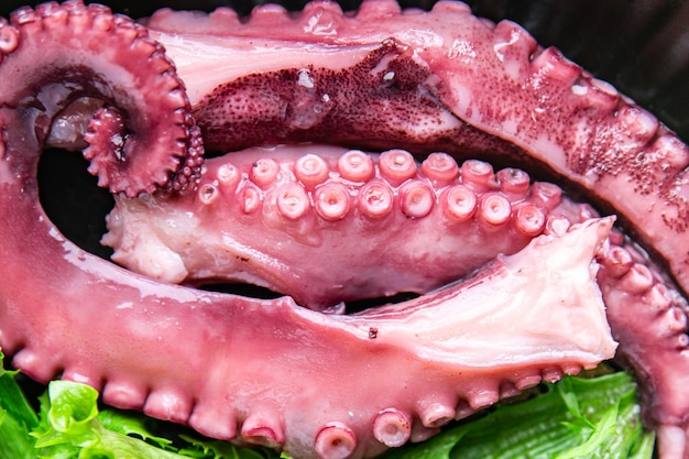 octopus salad food seafood meal snack on the table copy space food