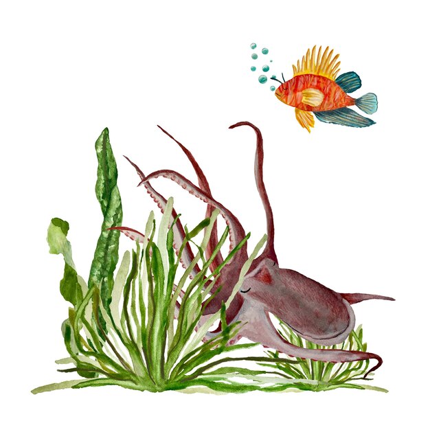 Octopus seaweed fish bubbles sea organism sketch. A watercolor isolated illustration. Hand drawn.