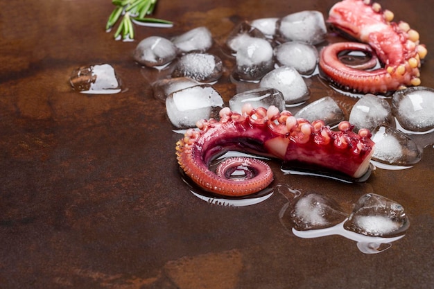 Octopus tentacles among ice and melt water Copy space Top view Rusty metal background