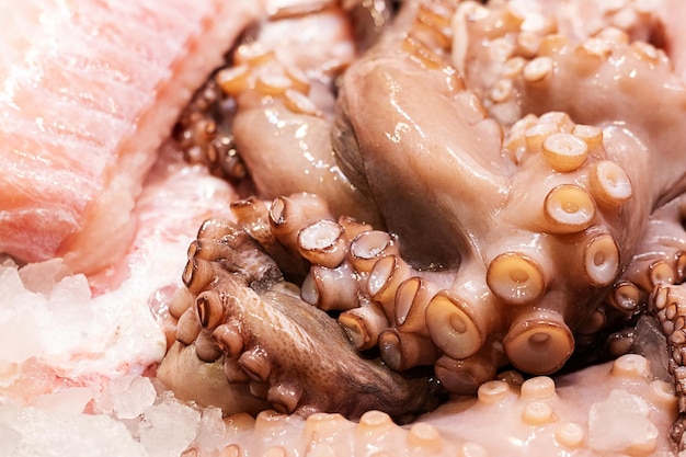 Octopus tentakels in ijs in de winkel eetbare ongekookte schelpdieren